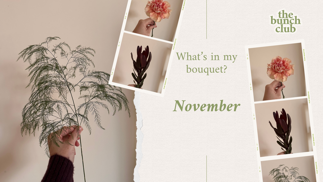 November Bunch Club Bouquet