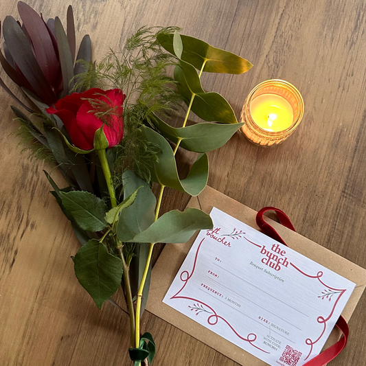 Bud-get Subscription (3 Months)